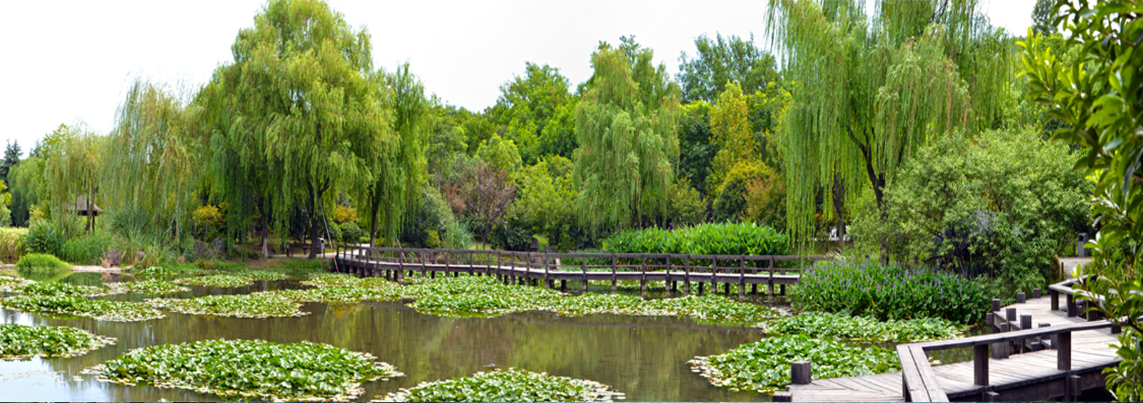 url(http://www.ruidejia.cn/theme/TP000163/pic/banner4.jpg)
